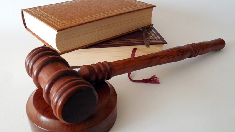 Other intellectual property services